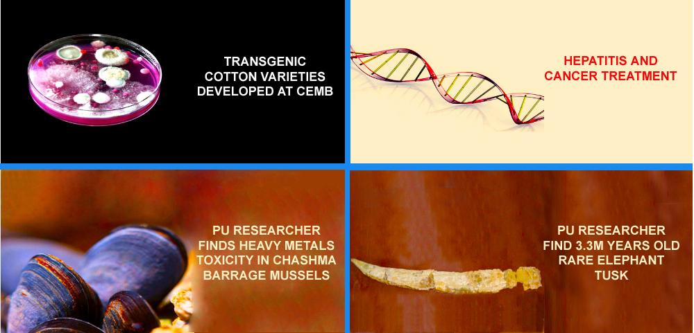 Research-in-Limelight